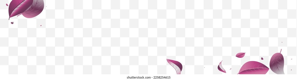 Violet Foliage Tea Vector White Transparent Panoramic Background Pattern. Falling Leaves Poster. Forest Solar Swirl Template. Leaf Wind Branch.