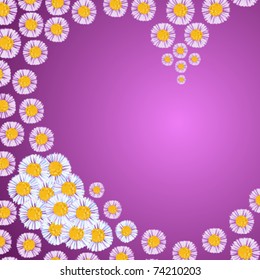 Violet framework with blue and lilac daisies