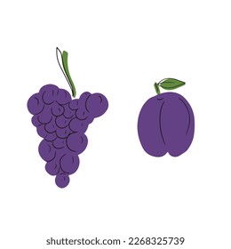 Violet fruits: grape and plum with black line isolated on white backgroound. Hand drawn vector flat cartoon illustration in doodle style. Summer fruit concept, juice, market, grocery