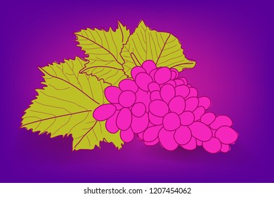 violet grape fruit for Backdrop. Background. EPS 10
