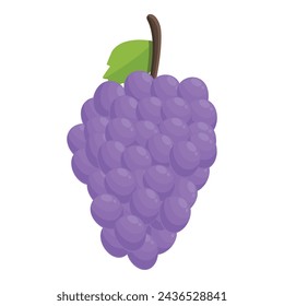 Violet grapes icon cartoon vector. Happy Holy Week. Sunday religion crucifixion