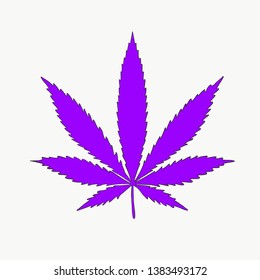 Violet hemp leaf. Vector illustration 