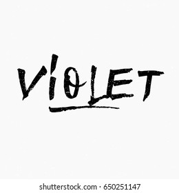 Violet. Ink hand lettering. Modern brush calligraphy. Handwritten phrase. Inspiration graphic design typography element. Rough simple vector sign.