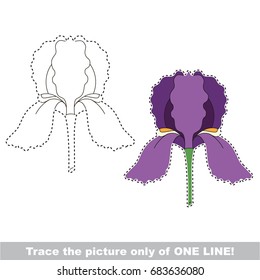 Violet Iris Head to be traced only of one line, the tracing educational game to preschool kids with easy game level, the colorful and colorless version.