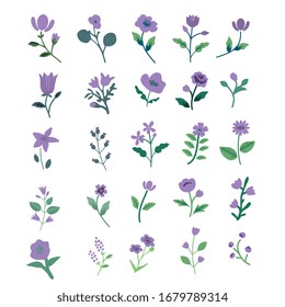 Violet isolated simple flowers set