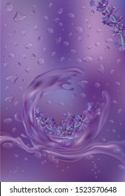 Violet lavender with drops water.Splashes violet water. Aroma oil lavender. Flower on violet background. Bunch fragrant lavender. Vector illustration