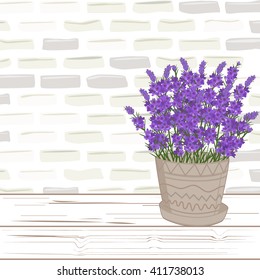 Violet lavender in pot on wood