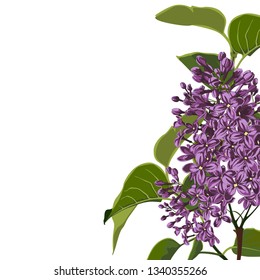 Violet lilac branches with leaves, elegant card. A spring decorative bouquet. Small floral garland. Illustration for you design.