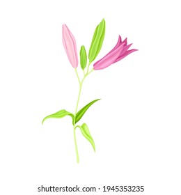 Violet Lily on Stalk as Herbaceous Flowering Plant with Large Prominent Flower with Stamens Vector Illustration