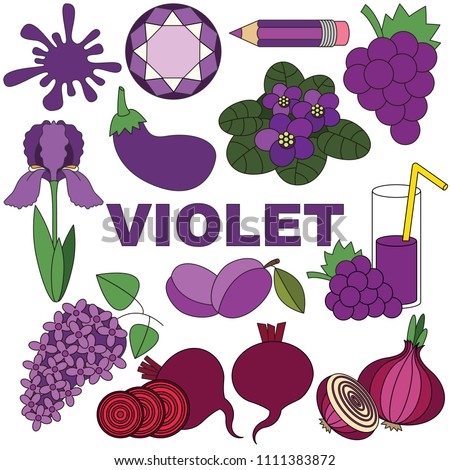 violet objects color elements set collection stock vector