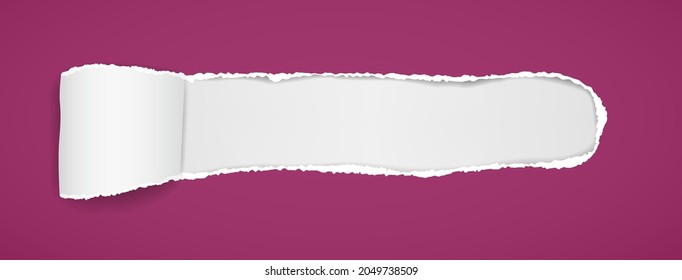 Violet oblong hole composition in paper with torn edges and soft shadow is on white background. Vector illustration