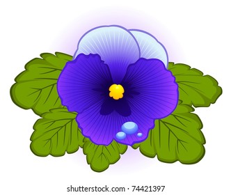 Violet on white background. Vector