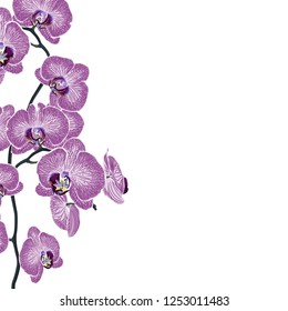 Violet orchid flowers branch. A summer spring exotic tropical decorative bouquet. Small floral garland. Vector illustration.