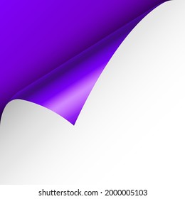 Violet paper curl. Curled page corner with shadow. Blank sheet of paper. Colorful shiny foil. Design element for advertising and promotion. Vector illustration.