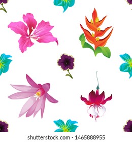 Violet Petunia. Green Plumeria. Pink Bauhinia Purpurea. Orange Heliconia. Purple Hatiora. Red Fuchsia. Vector illustration. Seamless background pattern. Floral botanical flower. Wild leaf wildflower.