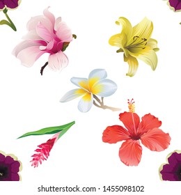 Violet Petunia. Pink Magnolia. Yellow Lilium. Red and Pink Ginger. Red Hibiscus. White Plumeria. Vector illustration. 