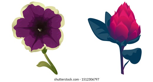Violet Petunia. Red Vriesea. Vector illustration. Isolated illustration element. Floral botanical flower. Wild leaf wildflower isolated. Exotic tropical hawaiian jungle.