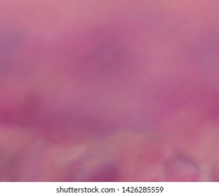 Violet pink, lilac background is beautiful, bright and stylish. Different trendy colors are mixed up in violet background .
