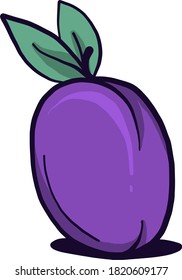 Violet plum, illustration, vector on white background
