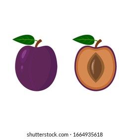 Violet plum with a leaf, whole and half. Fruit isolated on a white background. Stock vector illustration.