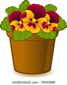 Violet in pot on white background. Vector