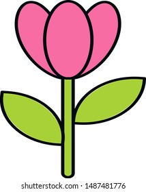 violet rose on white background
