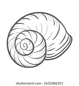 Violet Sea Snail Janthina Janthina Line Art