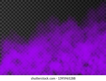 Violet smoke  isolated on transparent background.  Steam special effect.  Realistic  colorful vector fire fog  or mist texture. 