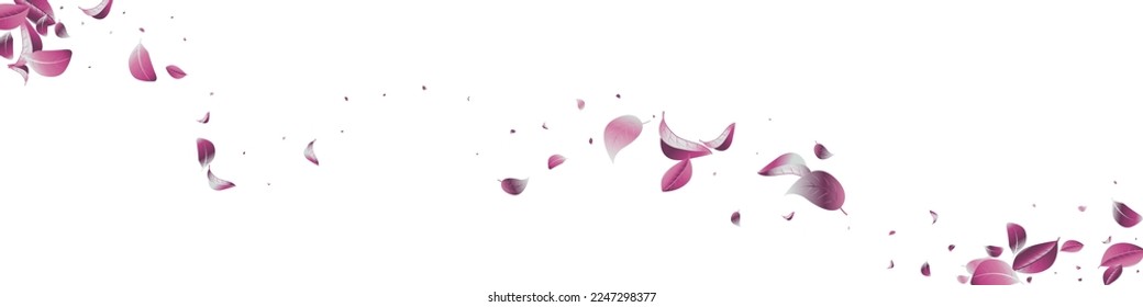 Violet Solar Abstract Vector White Panoramic Background Border. Tea Leaves Illustration. Lilac Foliage Wind Template. Leaf Transparent Backdrop.