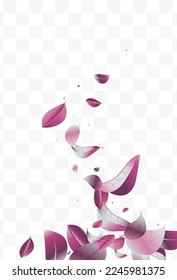 Borde de fondo transparente blanco del vector orgánico solar violeta. Concepto de hojas de té. Pancarta Forestal de Leaf Lilac. Folleto Fresco.
