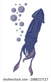 violet squid in the sea vector illustration