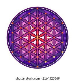 Violet Symbol Flower of life. The flower of life is a symbol of sacred geometry and the universal forgotten language of the universe