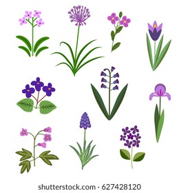 Violet vector flowers decorative set