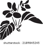 Violet Vector, Stencil, black and white