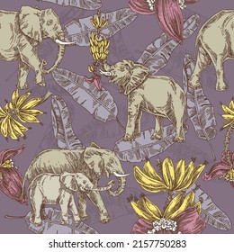 Violet vintage seamless pattern. Elephants and banana tree branches in tropical jungle.  Engraving style. Vector illustration