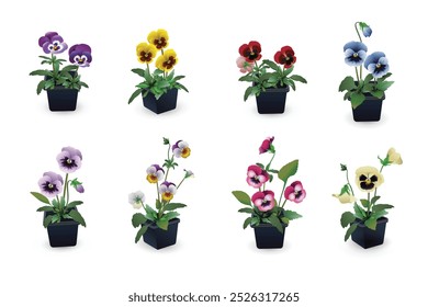 Violet Vitrocca (viola tricolor hybrid), another name Pansies in black plastic pots set isolated on white background. Flower seedlings collection for planting in the garden on a flower bed or for sale