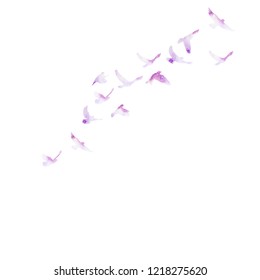 violet watercolor silhouette of flocks of birds