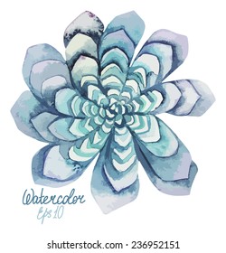 Violet watercolor succulent. Vector illustration