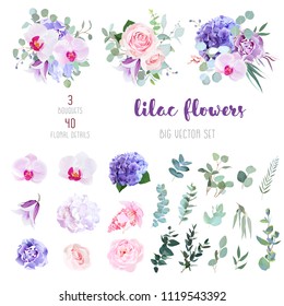 Violet and white hydrangea, pink rose and ranunculus, purple carnation, lilac orchid, iris, medinilla, bell flowers, eucalyptus, and mix of greenery big vector collection. All elements are isolated.