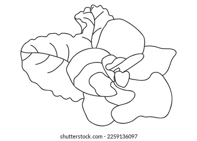  violets is drawn with a black outline, it is intended for cards, tattoos, fabric and clothes printing, coloring, labels, Valentine, March 8 and you can use it in different cases.