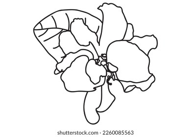  violets is drawn with a black outline, it is intended for cards, tattoos, fabric and clothes printing, coloring, labels, Valentine, March 8 and you can use it in different cases.