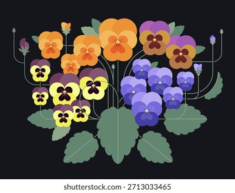 Violets or pansies. Big multicolor bush of pansies flowers, leaves, buds on  black background.