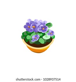Violets for the poster, banner. Potted plant in a pot. Isolated object. Vector illustration

