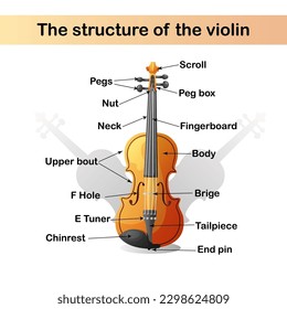 Violin infographic. The structure of a musical instrument. Breaking apart a violin. Material for learning. Cartoon style. Vector illustration.