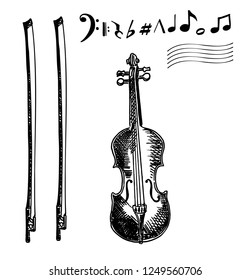 Violin. Vector Sketch. Musical instruments