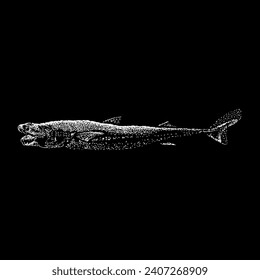 viper dogfish hand drawing vector isolated on black background.