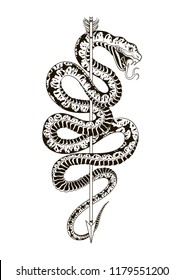 Viper snake with arrow. Hand drawn vector illustration. Graphic sketch for tattoo, poster, clothes, t-shirt design, pins, stickers and coloring book