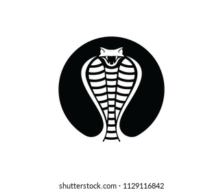 Viper snake Cobra logo template design in a triangle. Vector illustration.
