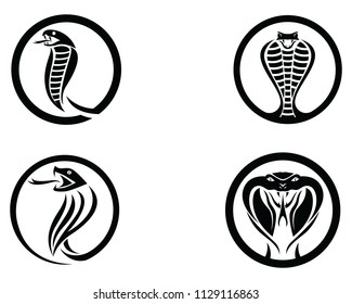 Viper snake Cobra logo template design in a triangle. Vector illustration.
