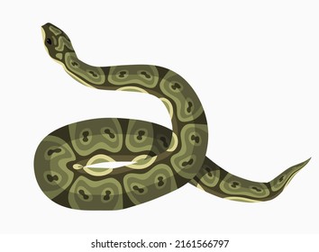 viper snake green reptile serpent